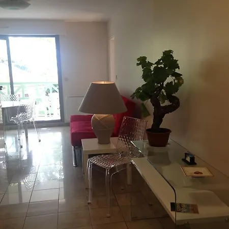 Joli T2 Proche De La Arcachon