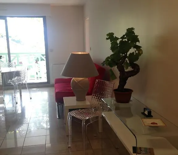 Joli T2 Proche De La Arcachón